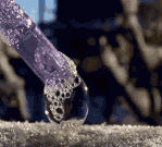 gif ncha a egosipụta ihe-omume