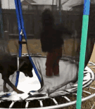 gif батут дейности