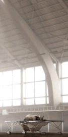 gif батут дейности