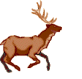 Елен Анимирани Изображения Gif