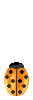 Калинка Анимирани Изображения Gif