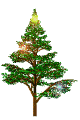 Fir Images Animate Gif