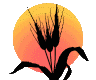 Weizen Animierte Bilder Gif
