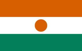 Niger Medien