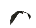 Bat Animated images Gif