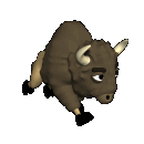 Bison Animated images Gif