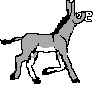 Donkey Animated images Gif