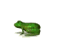 Frog Animated images Gif