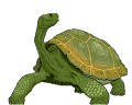 Tortoise Animated images Gif