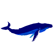 Whale Animated images Gif