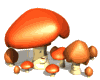 Mushroom Animated Images Gif