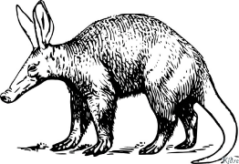 Aardvark Coloring pages to print