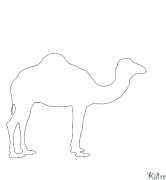 Camel Coloring pages to print