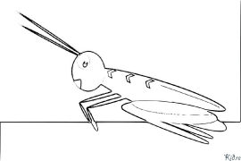 Cricket Coloring Pages To Print