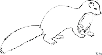 Mink Coloring Pages To Print