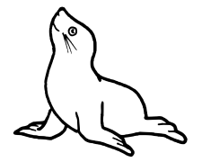 Sea lion Coloring pages to print