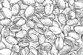 Pistachio Coloring pages to print