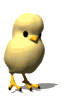 Txori Gaztea Animatutako Irudiak Gif