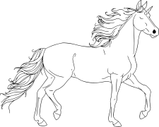 Unicorn Dath Air-loidhne