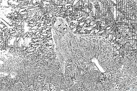Hyena Duilleagan Dathte Clò-bhuailte