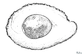 Avocado Duilleagan Dathte Clò-bhuailte