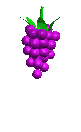 Grape Ìomhaigh Beòthail Gif