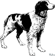 Brittany Printable Coloring Nplooj Ntawv