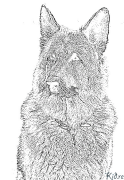 German Tus Tswv Yug Yaj Printable Coloring Nplooj Ntawv