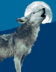 Lupo Immagini Animate Gif