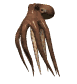 Octopus Animéiert Biller Gif