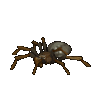 Spider Animéiert Biller Gif