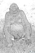 Goryl Kolorowanki Do Druku