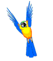 Ara Imagens Animadas Gif