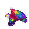 Papagaio Imagens Animadas Gif