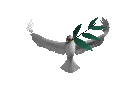 Pomba Imagens Animadas Gif