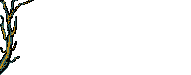 Folha Imagens Animadas Gif