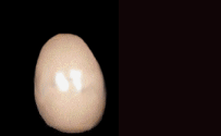 Pegasus Imagens Animadas Gif