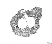 කූඩුව මුද්‍රණය කළ හැකි වර්ණ පිටු