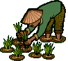 Farmár Animované Obrázky Gif