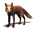 Fox Litšoantšo Tse Monate Gif