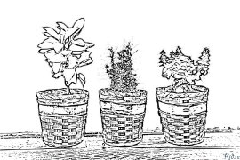 Thyme Kurasa Za Kupaka Rangi Zinazoweza Kuchapishwa
