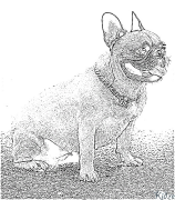 Bulldog Kurasa Za Kupaka Rangi Zinazoweza Kuchapishwa