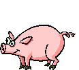 หมู ภาพเคลื่อนไหว Gif