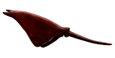 Balık Animasyonlu Resimler Gif