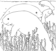 Плажів Розмальовки Для Друку