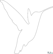 Колібрі Розмальовки Для Друку