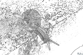 Равлик Розмальовки Для Друку