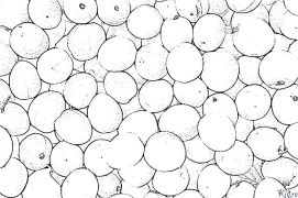 Olxo'ri Bosib Chiqarish Uchun Bo'yash Sahifalari