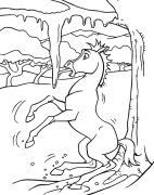 Mustang Onlayn Ranging