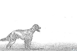 Setter Các Trang Màu Có Thể In
